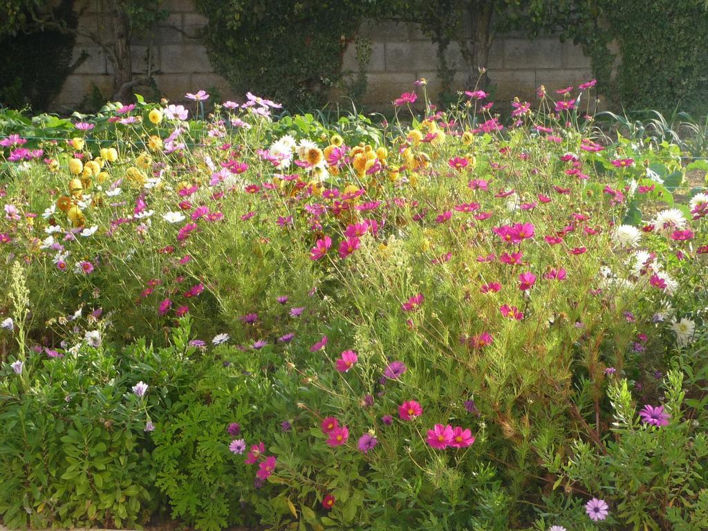 لي سابلِ دولونْ Chambre D'Hote Fleur De Potager المظهر الخارجي الصورة