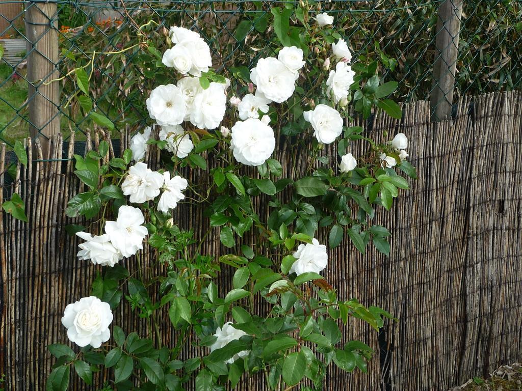لي سابلِ دولونْ Chambre D'Hote Fleur De Potager المظهر الخارجي الصورة