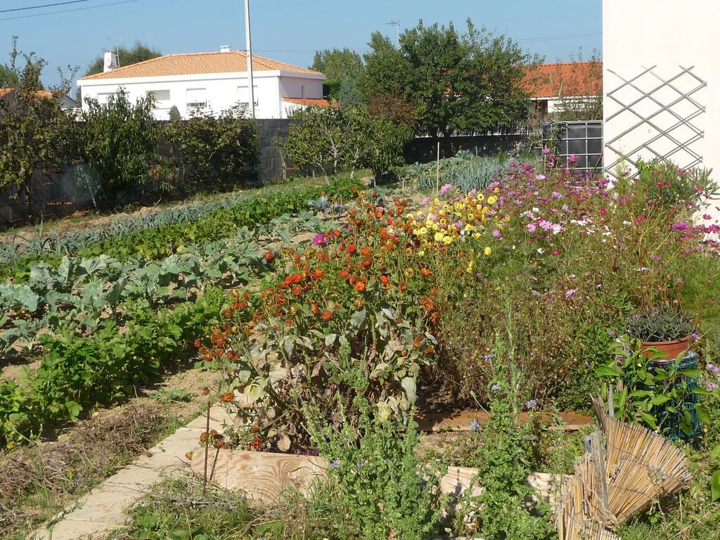 لي سابلِ دولونْ Chambre D'Hote Fleur De Potager المظهر الخارجي الصورة